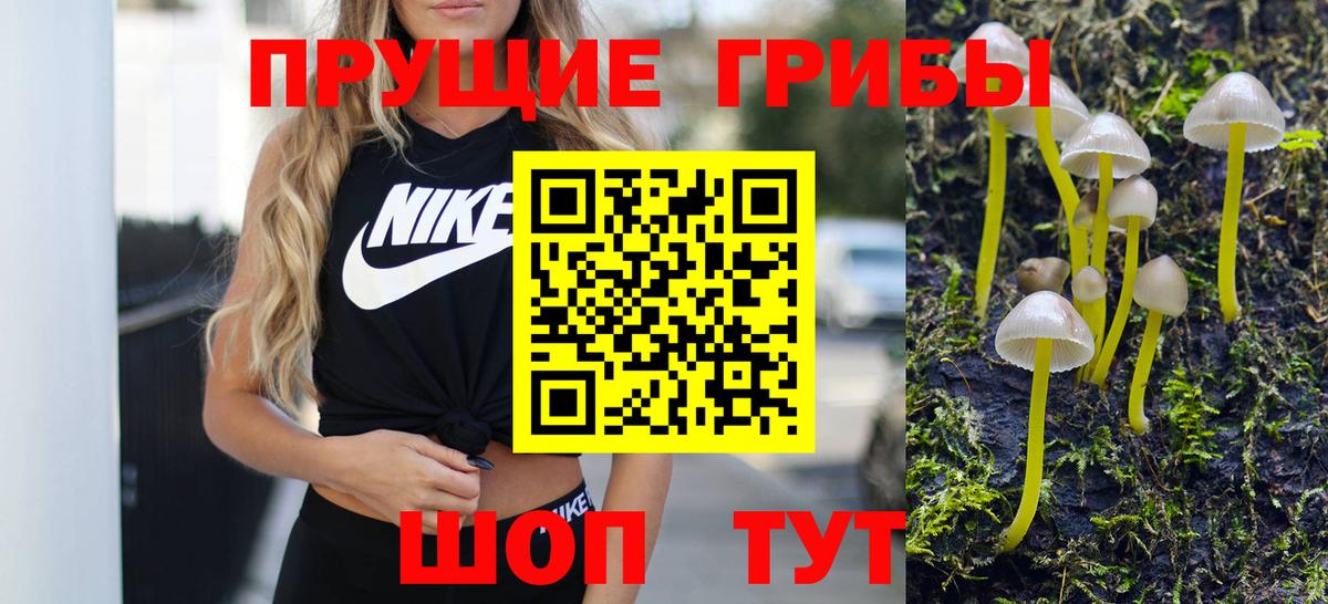 Кинель  Псилоцибиновые грибы MAGIC MUSHROOMS  Вход с VPN  Псилоцибиновые грибы MAGIC MUSHROOMS 