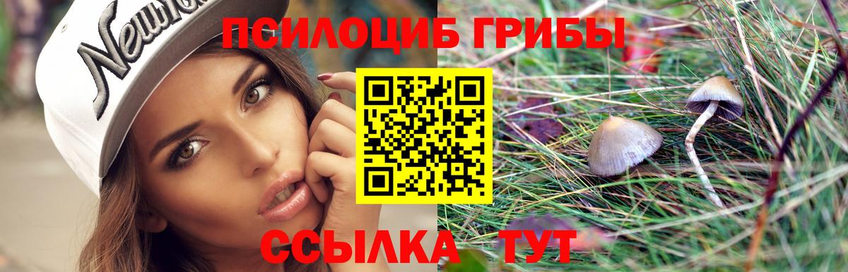 Псилоцибиновые грибы Magic Shrooms Кинель